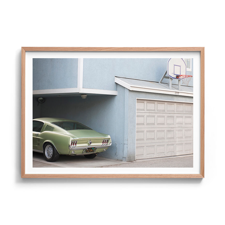 VENICE BEACH GREEN