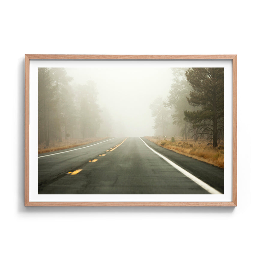THE SCENIC ROUTE