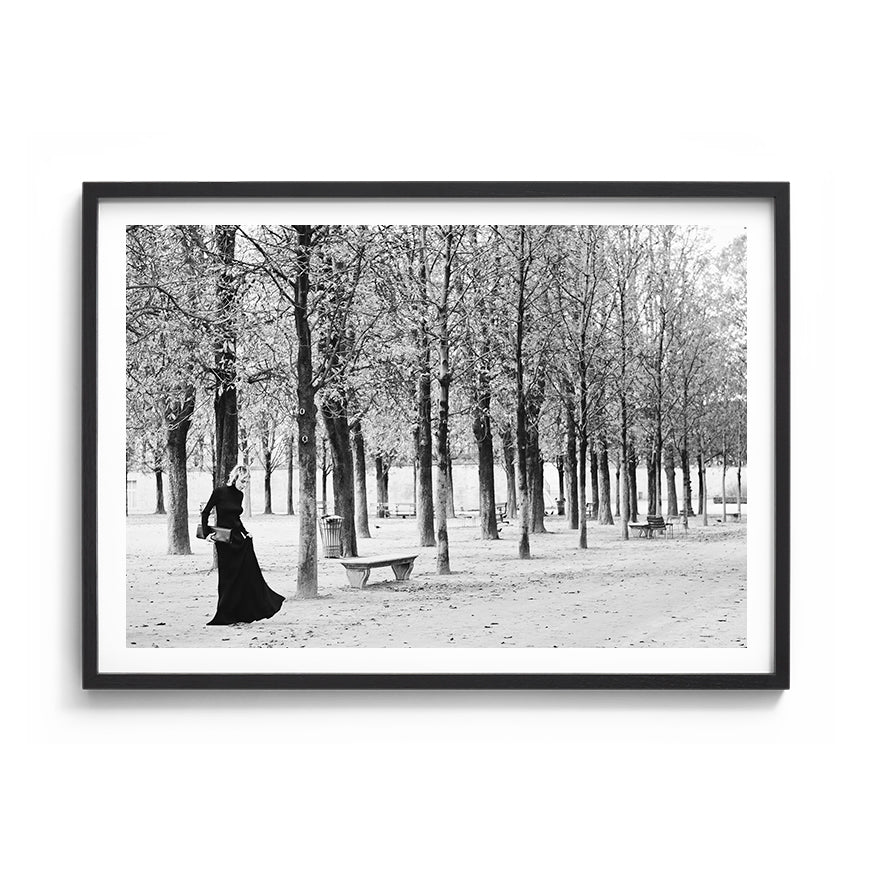 TUILERIES GARDENS DREAMING