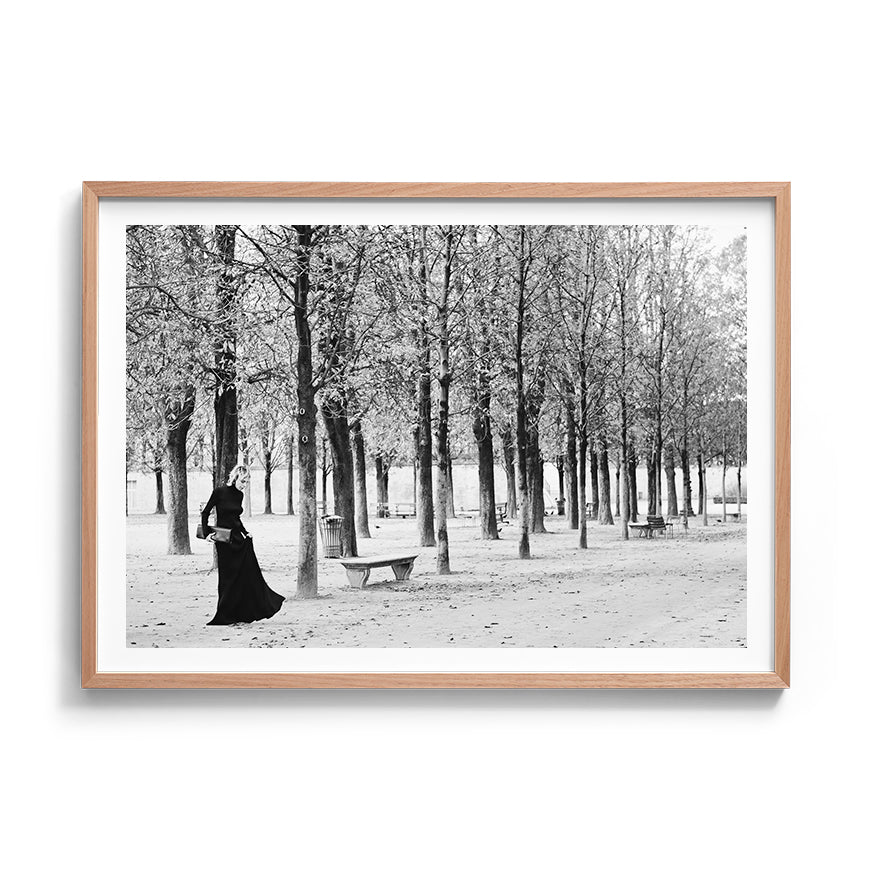 TUILERIES GARDENS DREAMING