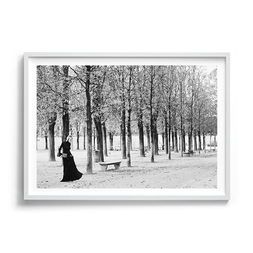 TUILERIES GARDENS DREAMING