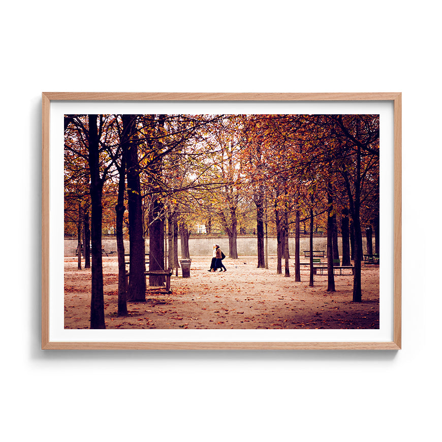 TUILERIES GARDENS COLOUR