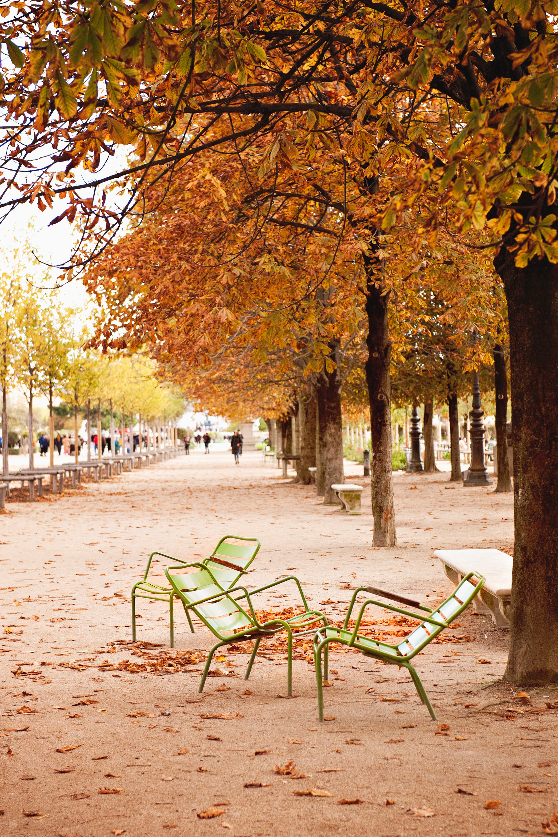 THE GREEN GARDENS CHAIRS