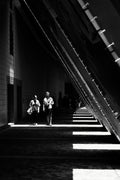 HK SHADOW HALLWAYS