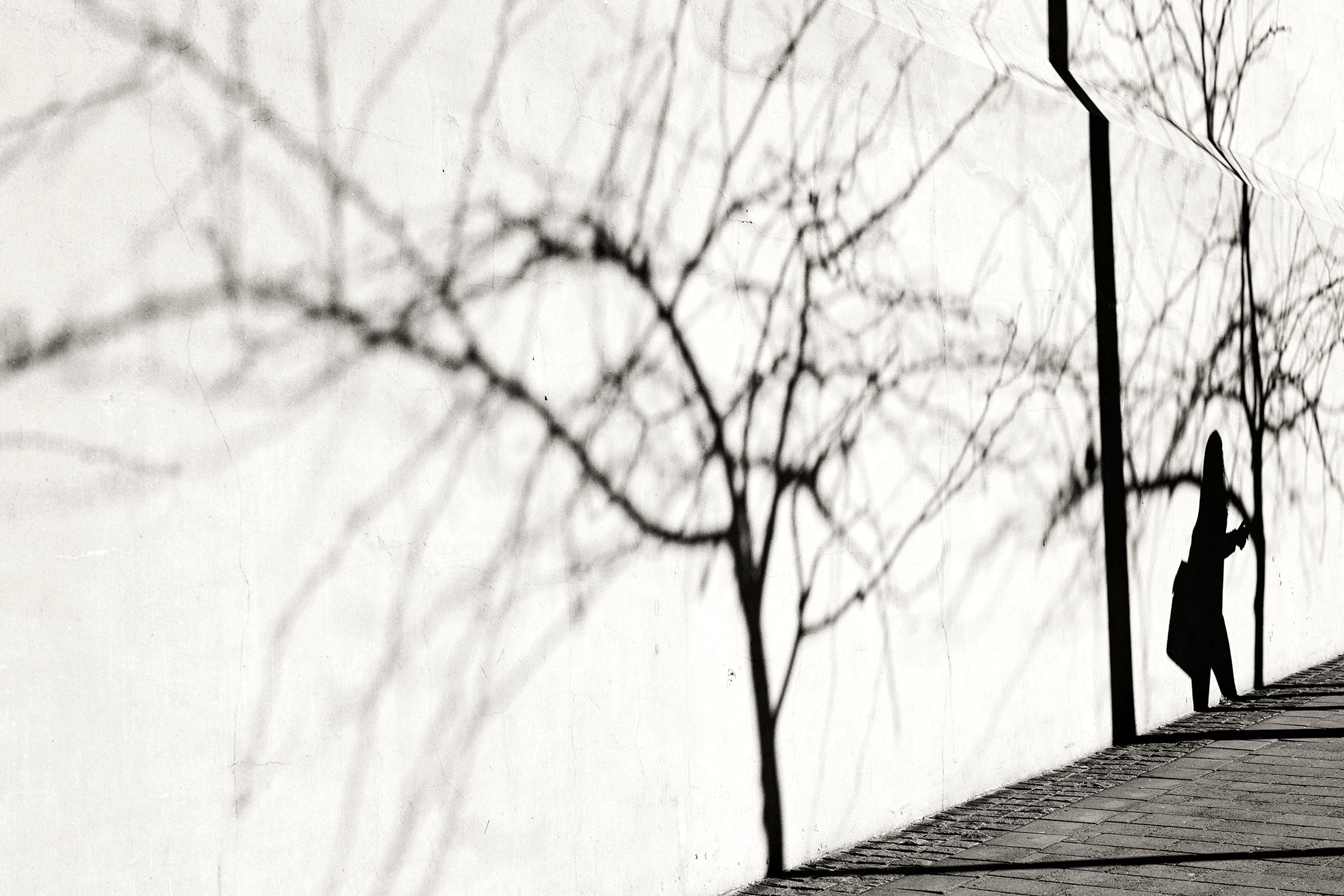 SHADOWS