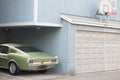 VENICE BEACH GREEN