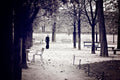 Black and white scene of a park in Paris with trees and person