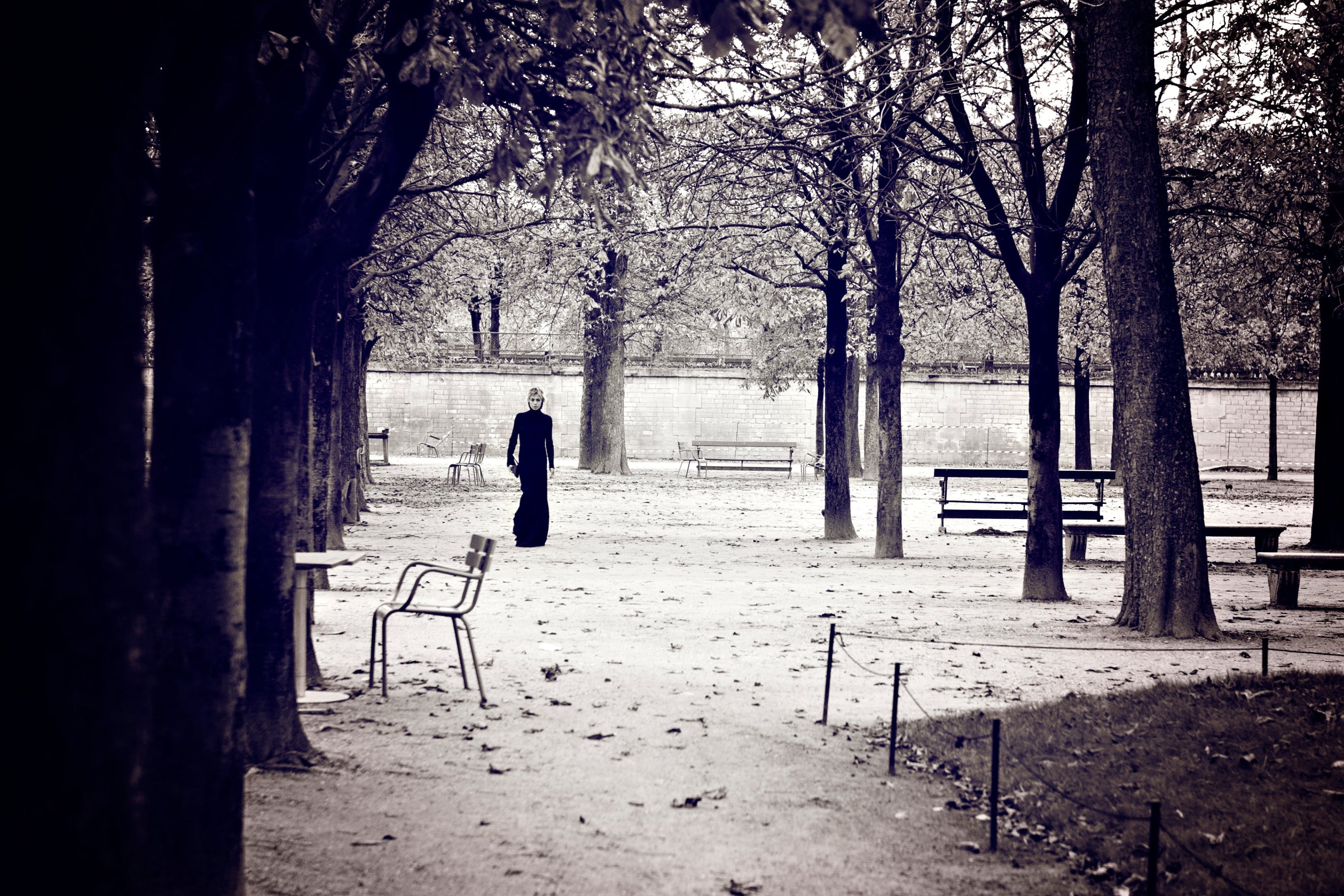 Black and white scene of a park in Paris with trees and person
