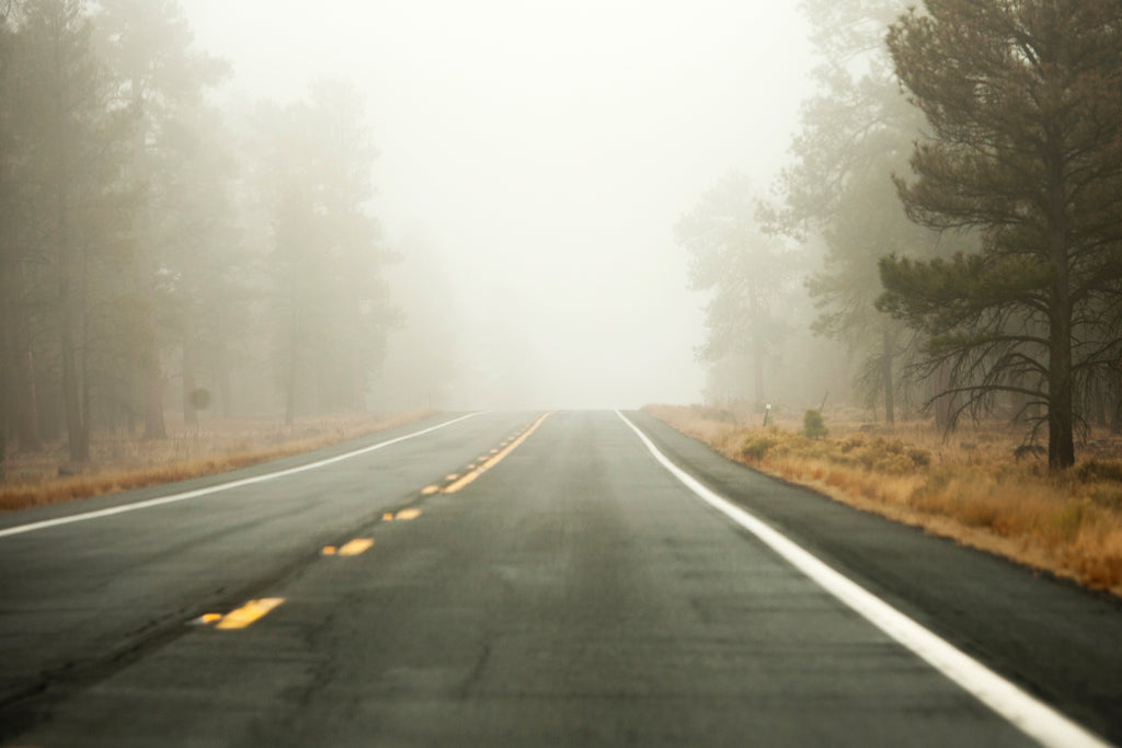 THE SCENIC ROUTE