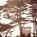 THE BUNKER
