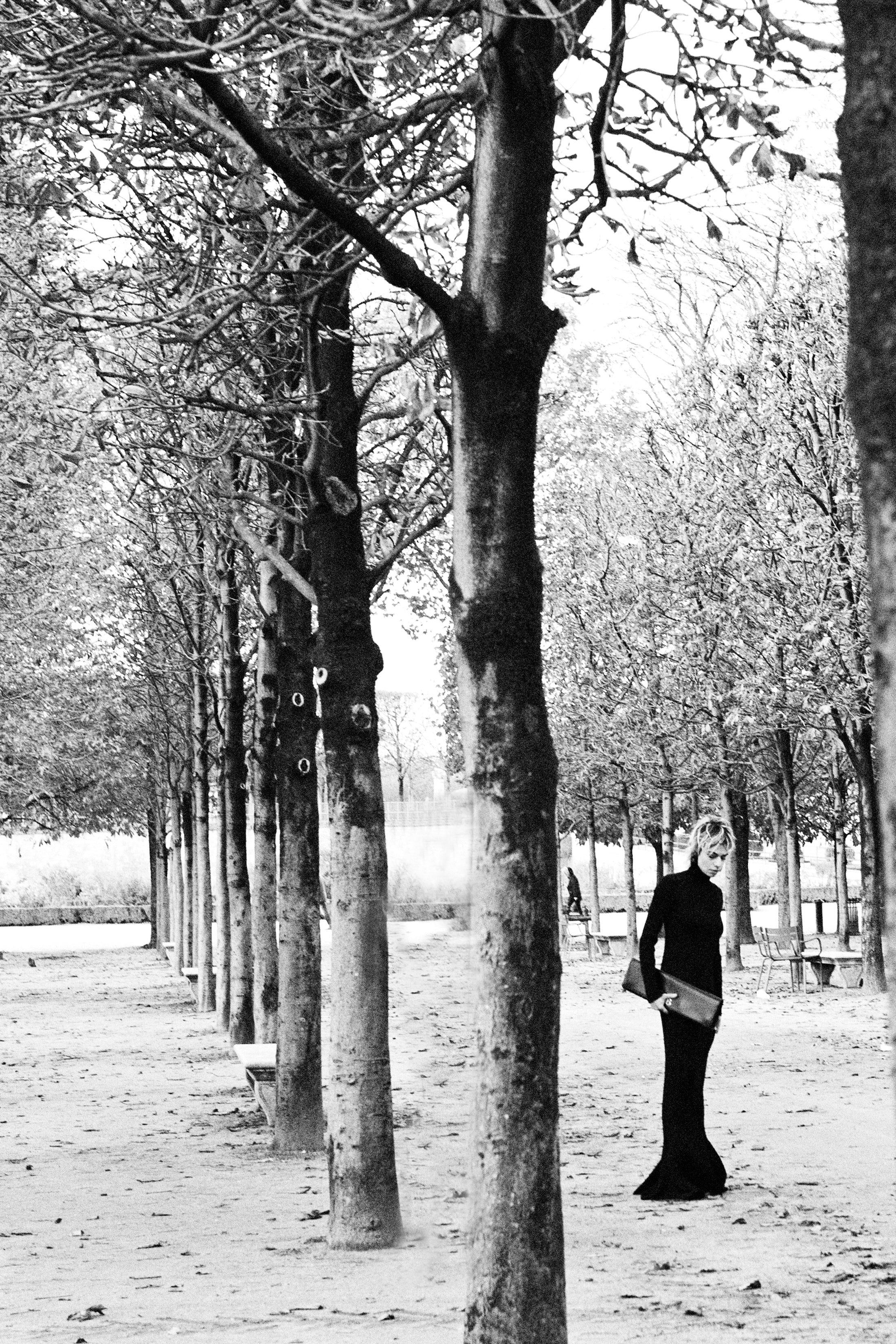 TUILERIES GARDENS TREES