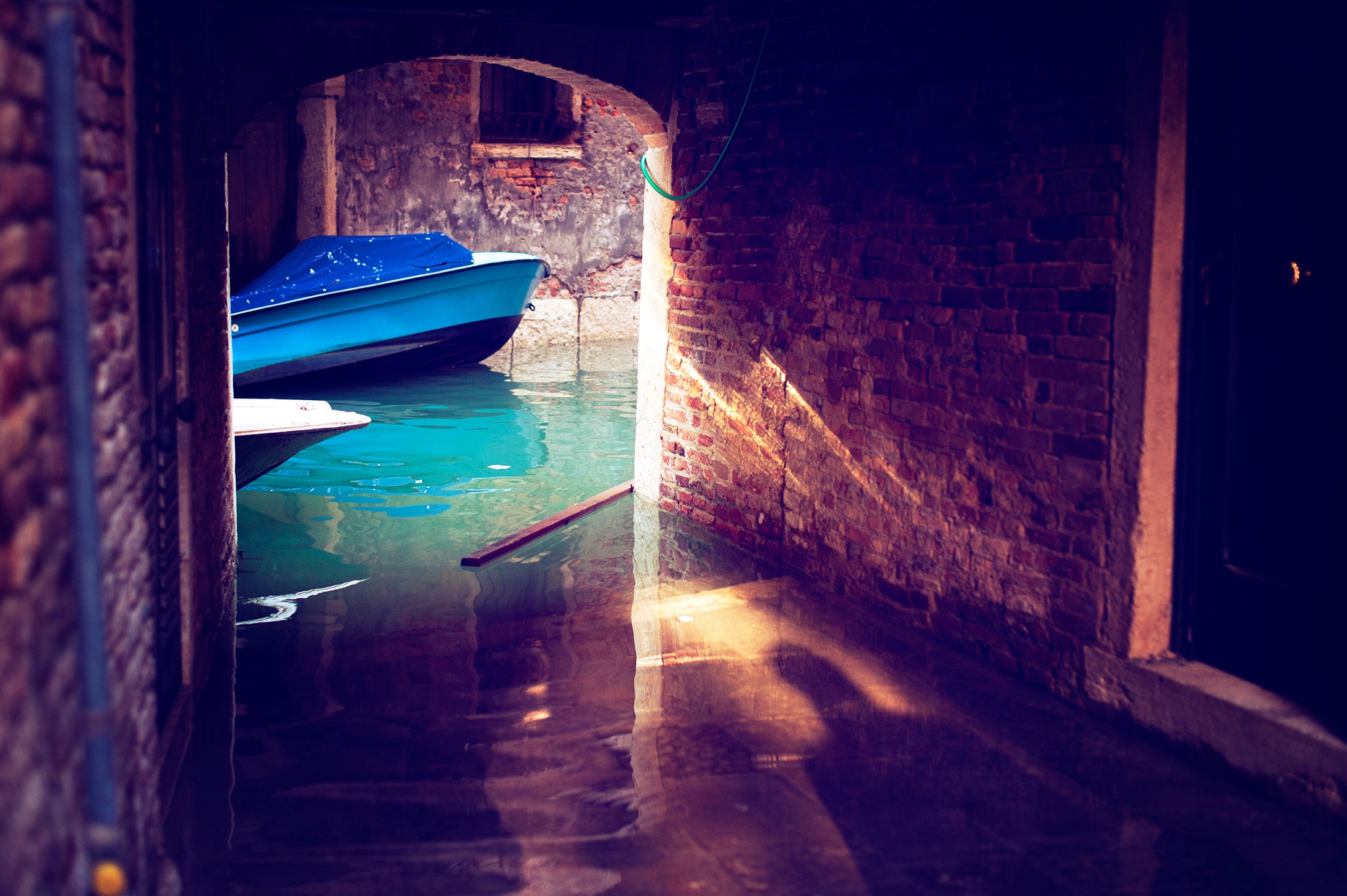 VENICE SHADOWS