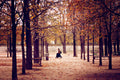 TUILERIES GARDENS COLOUR