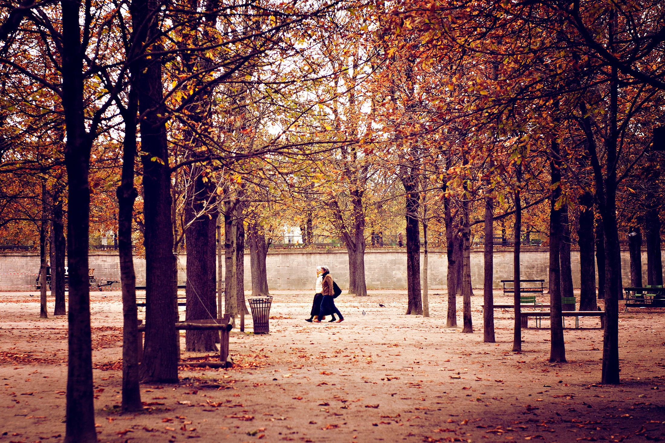 TUILERIES GARDENS COLOUR