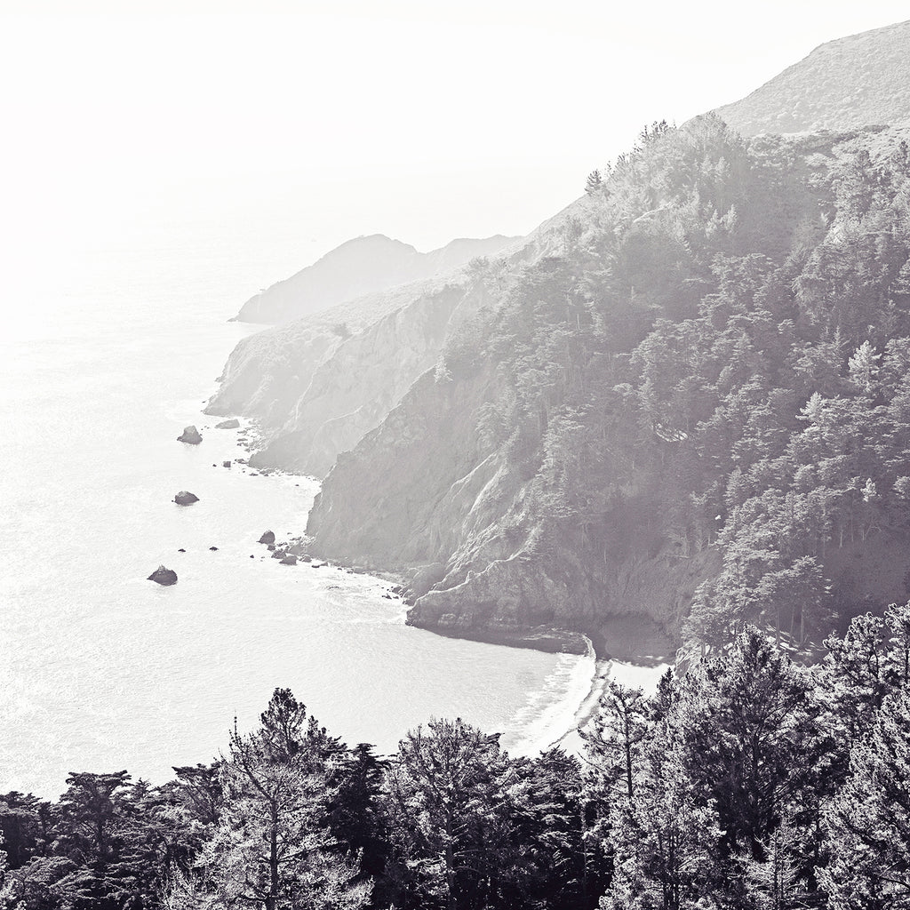 CLIFF TOP