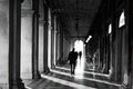 VENICE HALLWAYS