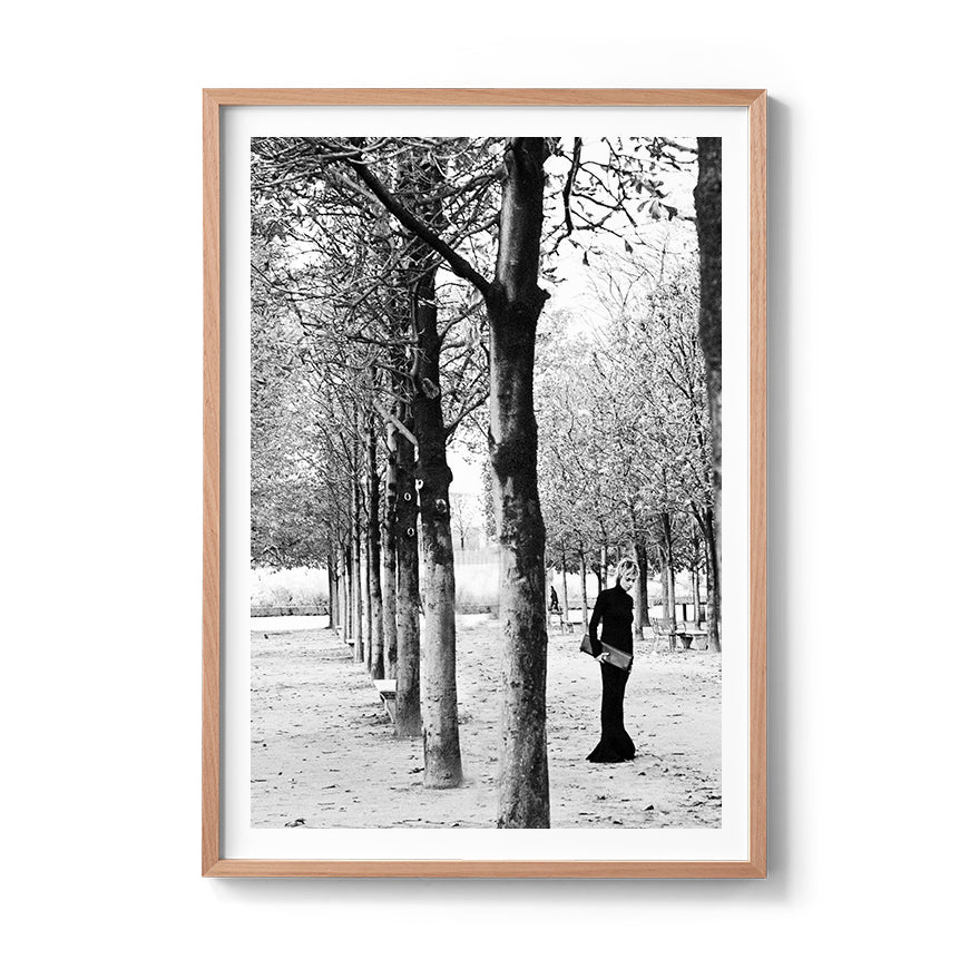 TUILERIES GARDENS TREES