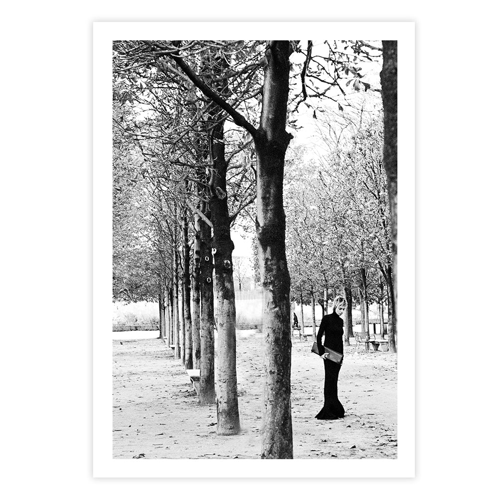 TUILERIES GARDENS TREES