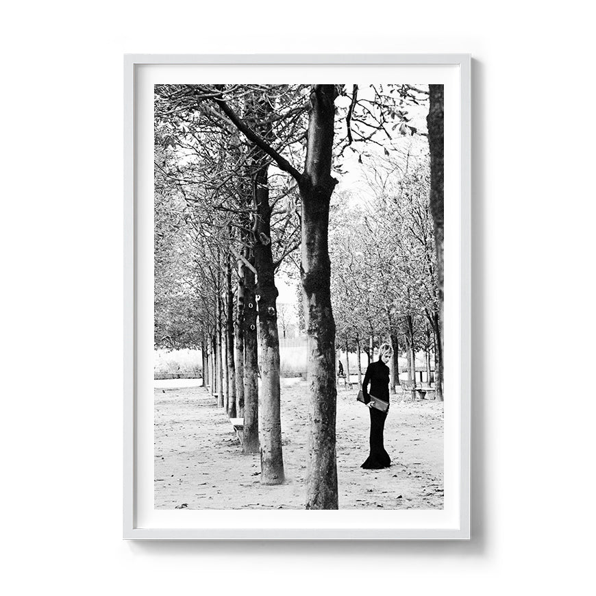 TUILERIES GARDENS TREES