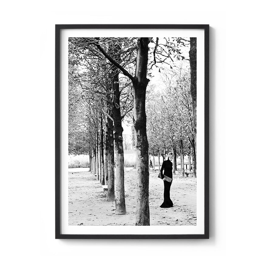 TUILERIES GARDENS TREES